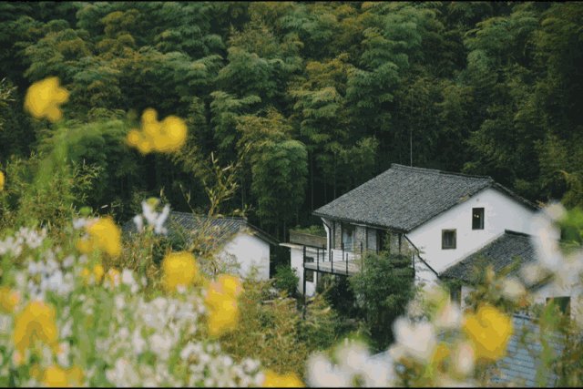 莫干山民宿集体搬去“摩洛哥”！每一寸都是景色，去睡的机票却只要15块！_莫干山民宿集体搬去“摩洛哥”！每一寸都是景色，去睡的机票却只要15块！-44.jpg