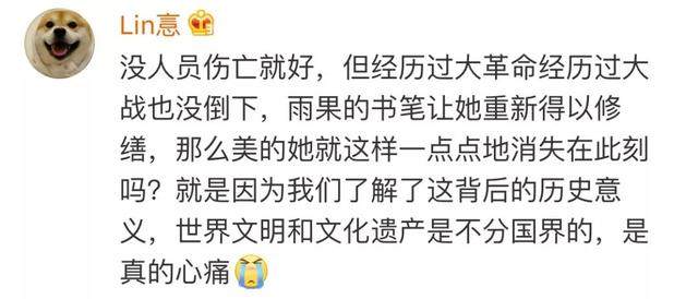 巴黎圣母院大火，评论区却留下了20000条喝彩_巴黎圣母院大火，评论区却留下了20000条喝彩-28.jpg