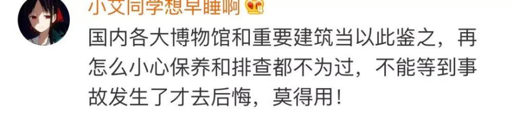 巴黎圣母院大火，评论区却留下了20000条喝彩_巴黎圣母院大火，评论区却留下了20000条喝彩-32.jpg