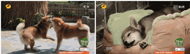被黄磊何炅带火的江南秘境，除了“蘑菇屋”，可藏着太多惊喜，杭州出发才30min!_被黄磊何炅带火的江南秘境，除了“蘑菇屋”，可藏着太多惊喜，杭州出发才30min!-5.jpg