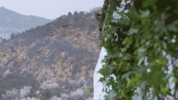 躲雾霾躲出网红民宿！奶爸为儿子建山居，却被朋友抢着住！_躲雾霾躲出网红民宿！奶爸为儿子建山居，却被朋友抢着住！-27.jpg