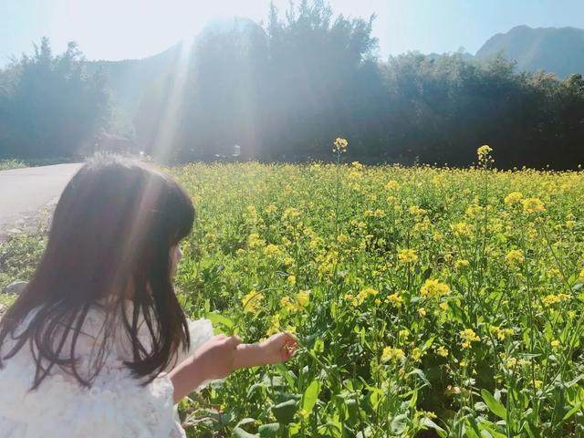 他舍弃地产高管职位，隐入峰林，携妻女在2000㎡院_他舍弃地产高管职位，隐入峰林，携妻女在2000㎡院-27.jpg