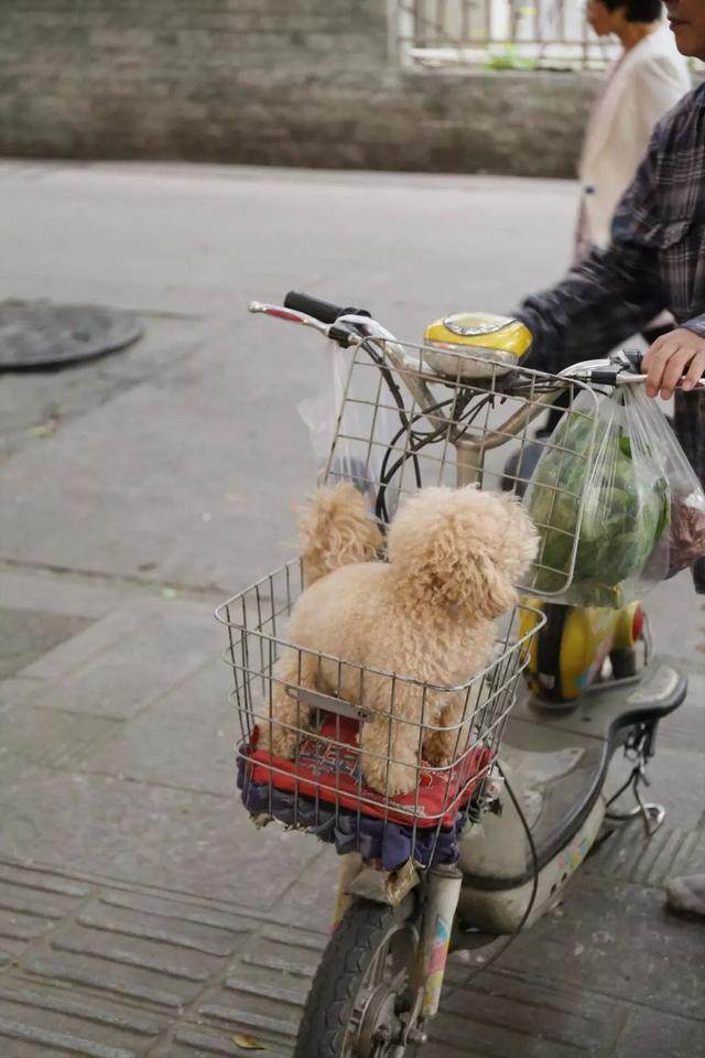 不分享只私藏｜成都，带不走的不只火锅_不分享只私藏｜成都，带不走的不只火锅-55.jpg