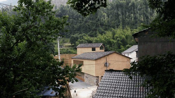 日本小伙在浙江农村造房，花掉1500万，当地人嫌太普通_日本小伙在浙江农村造房，花掉1500万，当地人嫌太普通-10.jpg