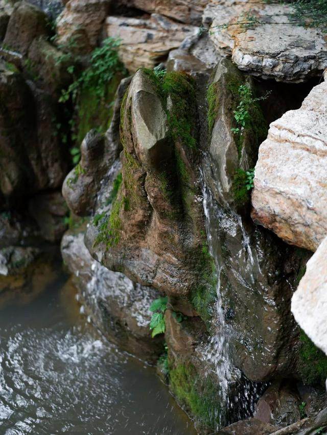 这才是中国人居住的最高境界：有水景、有园子，家门从不上锁_这才是中国人居住的最高境界：有水景、有园子，家门从不上锁-28.jpg