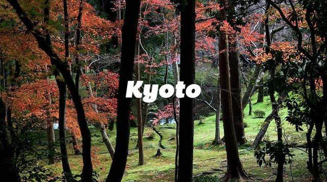 京都红叶｜一期一会，自是秋色見頃时_京都红叶｜一期一会，自是秋色見頃时-2.jpg