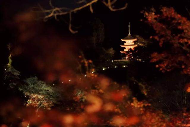 京都红叶｜一期一会，自是秋色見頃时_京都红叶｜一期一会，自是秋色見頃时-11.jpg