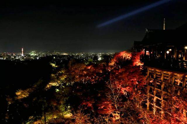 京都红叶｜一期一会，自是秋色見頃时_京都红叶｜一期一会，自是秋色見頃时-13.jpg