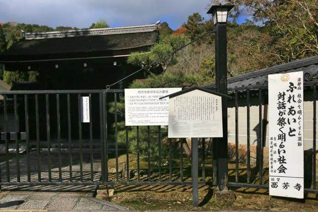 京都红叶｜一期一会，自是秋色見頃时_京都红叶｜一期一会，自是秋色見頃时-21.jpg