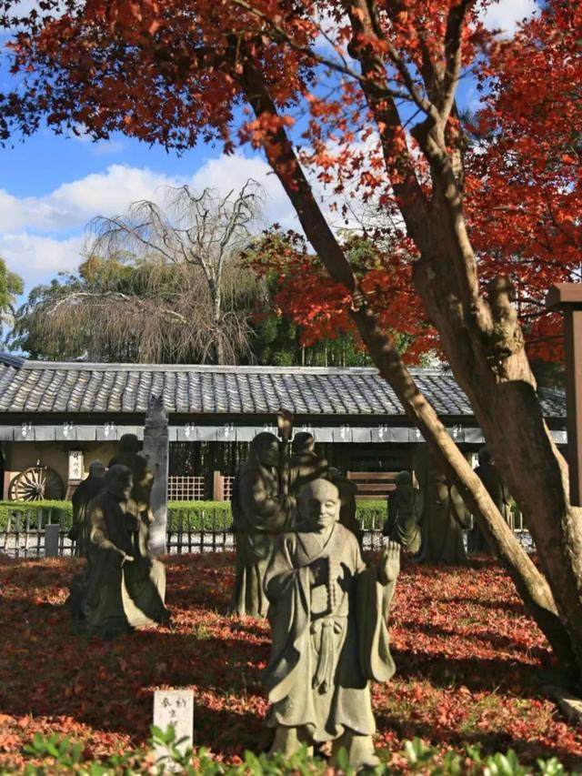京都红叶｜一期一会，自是秋色見頃时_京都红叶｜一期一会，自是秋色見頃时-28.jpg