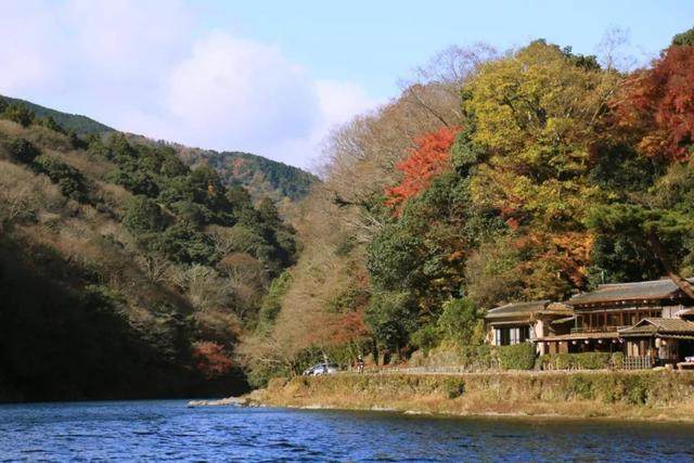 京都红叶｜一期一会，自是秋色見頃时_京都红叶｜一期一会，自是秋色見頃时-30.jpg