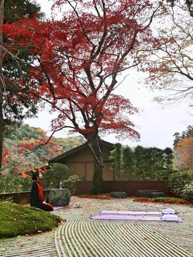 京都红叶｜一期一会，自是秋色見頃时_京都红叶｜一期一会，自是秋色見頃时-32.jpg