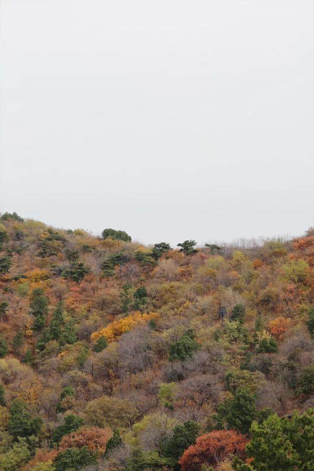 北京的灵性，全在西山那一抹晚霞_北京的灵性，全在西山那一抹晚霞-14.jpg