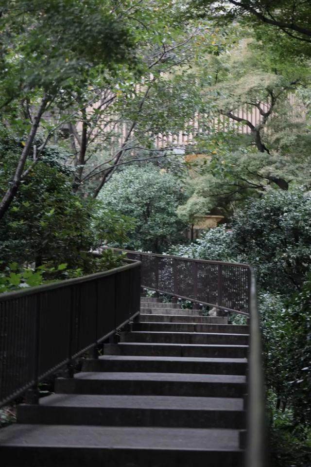 东京散步｜自然、庭院、美术馆_东京散步｜自然、庭院、美术馆-5.jpg