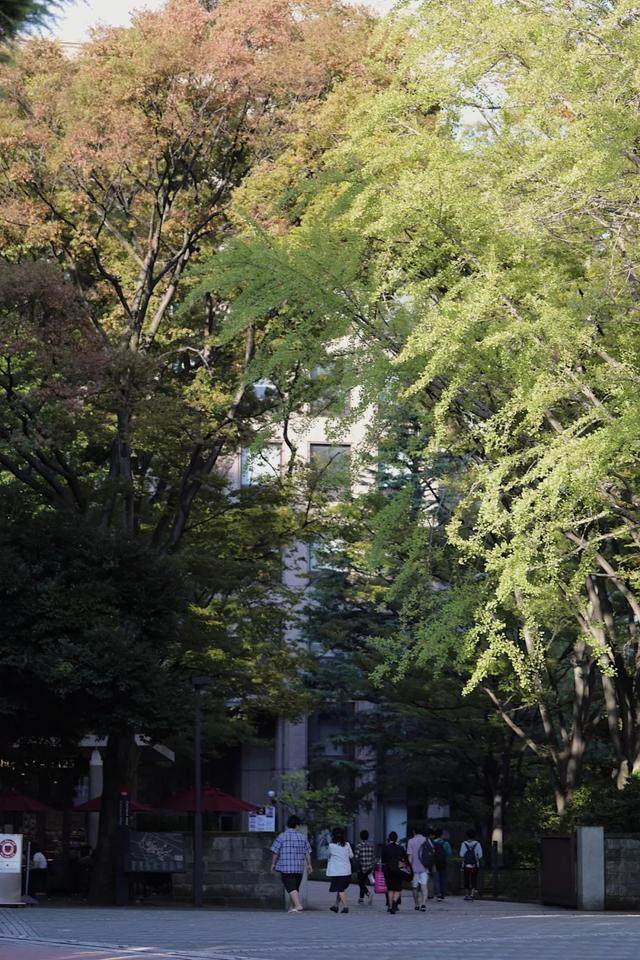 东京散步｜自然、庭院、美术馆_东京散步｜自然、庭院、美术馆-38.jpg