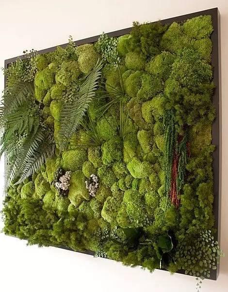 当植物爬满墙，惊艳了時光..._当植物爬满墙，惊艳了時光...-4.jpg