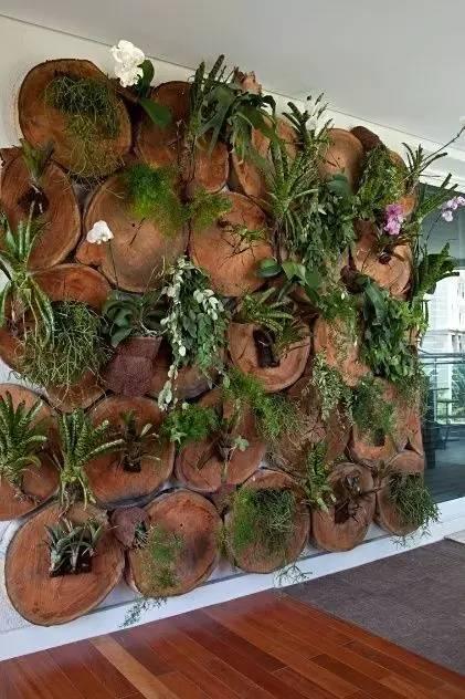 当植物爬满墙，惊艳了時光..._当植物爬满墙，惊艳了時光...-27.jpg