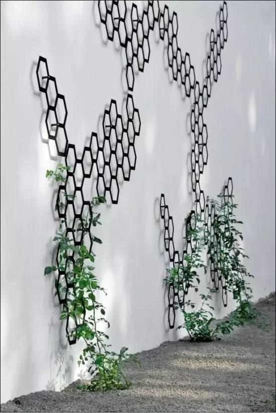 当植物爬满墙，惊艳了時光..._当植物爬满墙，惊艳了時光...-30.jpg
