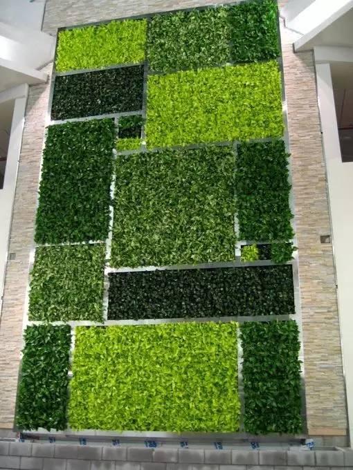 当植物爬满墙，惊艳了時光..._当植物爬满墙，惊艳了時光...-35.jpg