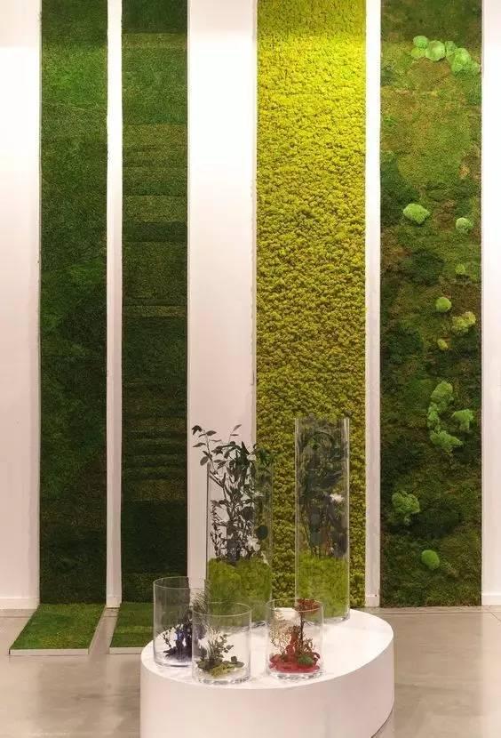 当植物爬满墙，惊艳了時光..._当植物爬满墙，惊艳了時光...-40.jpg
