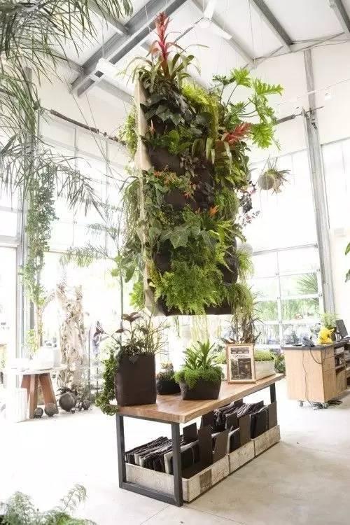当植物爬满墙，惊艳了時光..._当植物爬满墙，惊艳了時光...-48.jpg