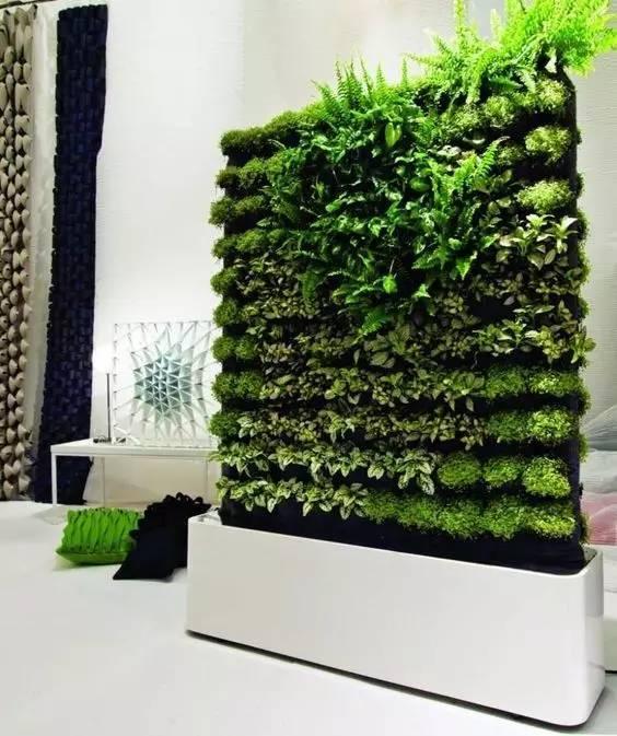 当植物爬满墙，惊艳了時光..._当植物爬满墙，惊艳了時光...-52.jpg