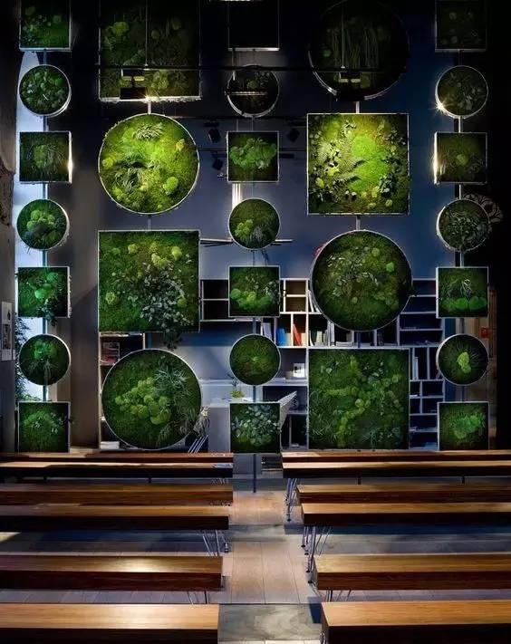 当植物爬满墙，惊艳了時光..._当植物爬满墙，惊艳了時光...-53.jpg