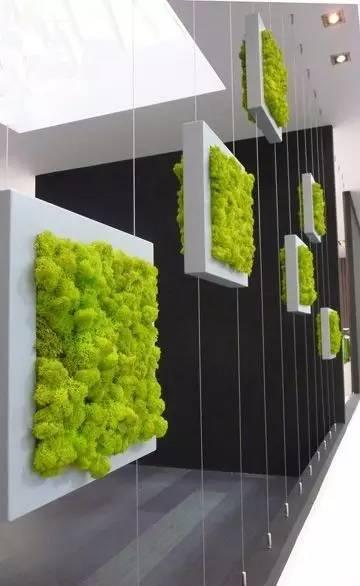 当植物爬满墙，惊艳了時光..._当植物爬满墙，惊艳了時光...-65.jpg