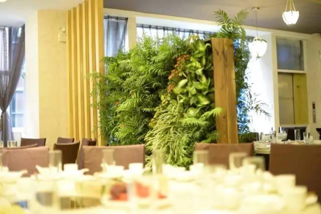 当植物爬满墙，惊艳了時光..._当植物爬满墙，惊艳了時光...-76.jpg