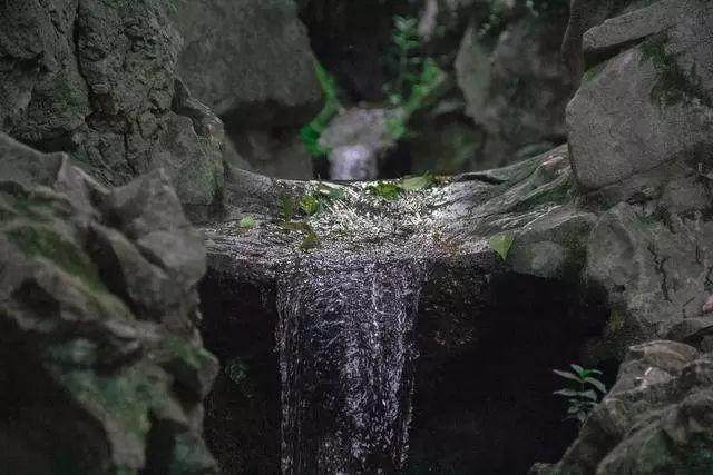 5年没工作，她把家种进山海间，余生背靠相思树看潮起潮落_5年没工作，她把家种进山海间，余生背靠相思树看潮起潮落-5.jpg