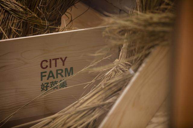 乾正設計丨CITYFARM-GUBEI好菜集_乾正設計丨CITYFARM-GUBEI好菜集-13.jpg