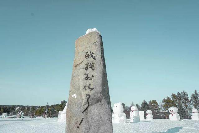 去了呼伦贝尔才知道，什么叫铺天盖地的绿意和天高地阔的自由-9.jpg