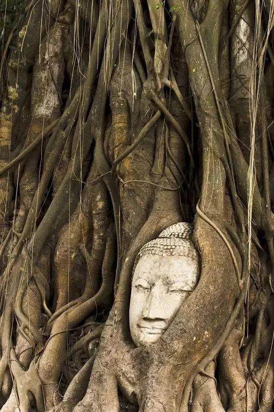 素可泰，“幸福的曙光”，被遗忘在时间里的千年泰国古城-30.jpg