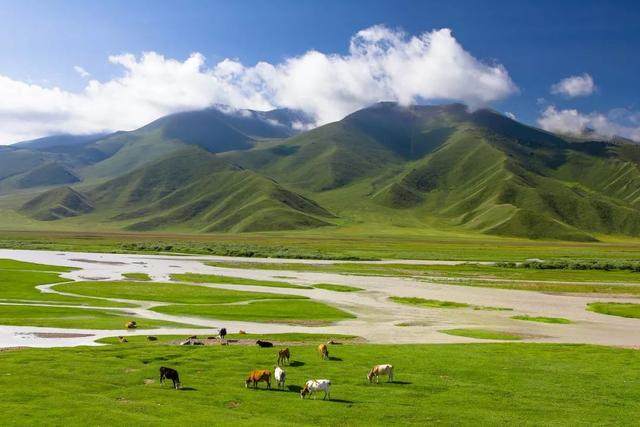 夏天的北疆，承包了整个中国的美-10.jpg