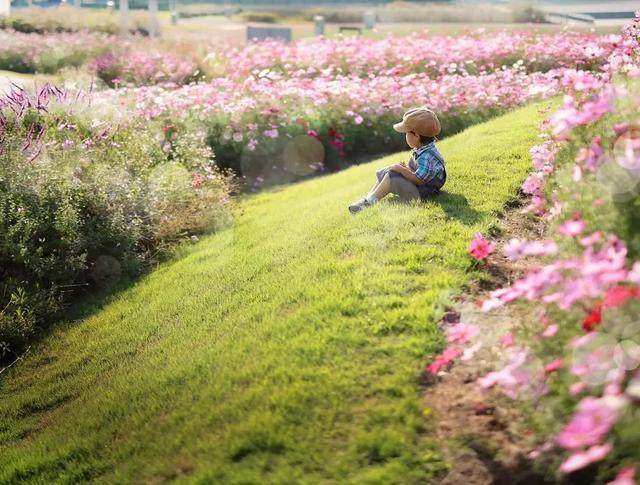 这个日本妈妈跟拍3年，为4岁儿子打造“宫崎骏世界”，美哭了-21.jpg