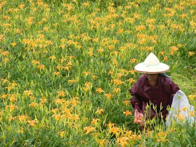 7月旅行地推荐：25个拥有最美夏日风光的地方-68.jpg