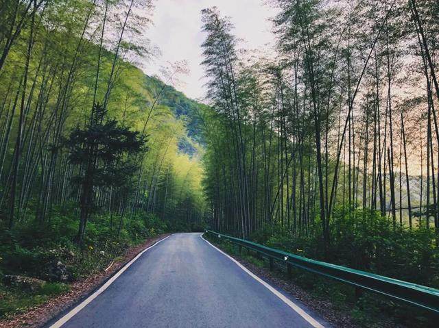 江南天路“皖南318”，藏在烟雨青山里的川藏线-16.jpg