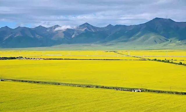 中国夏天最美的大环线，一次看尽西北万般风景-6.jpg