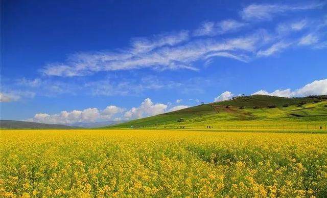 中国夏天最美的大环线，一次看尽西北万般风景-8.jpg