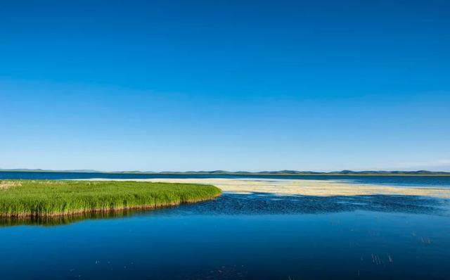 甘川边界的仙境小城，20℃的夏天，到了7月就花开成海_甘川边界的仙境小城，20℃的夏天，到了7月就花开成海-15.jpg