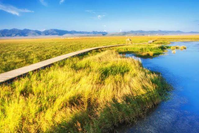 甘川边界的仙境小城，20℃的夏天，到了7月就花开成海_甘川边界的仙境小城，20℃的夏天，到了7月就花开成海-16.jpg