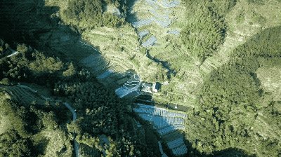 一次偶然踏入深山，建築師选择留下做酒窖、酿果酒，整个荒村都因此有了精神-7.jpg