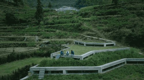 一次偶然踏入深山，建築師选择留下做酒窖、酿果酒，整个荒村都因此有了精神-40.jpg