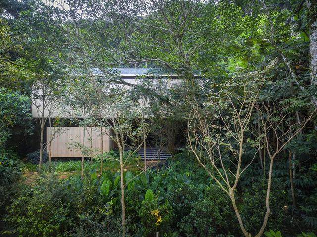 与自然同栖——丛林住宅空间，巴西-4.jpg