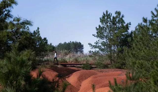南昌绿地红土公园設計，第四纪网纹红土组成的红色荒漠-2.jpg
