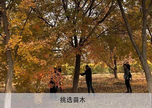 White+ 触通所有未来 | 北京新光大中心ARTPARK9-31.jpg