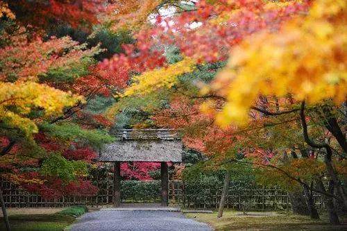 为什么置身日本庭园会感觉被治愈？走近值得一观的日本庭院TOP 10-22.jpg