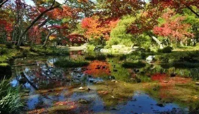 为什么置身日本庭园会感觉被治愈？走近值得一观的日本庭院TOP 10-37.jpg