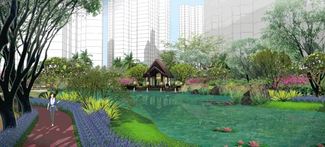 椰林树影，风暖花开 | 热带公园里的大区：珠海蓝湾半岛9-10期-20.jpg