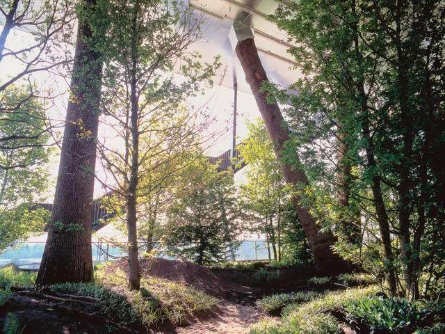 空中花园到垂直森林——钢铁丛林中的绿巨人-27.jpg